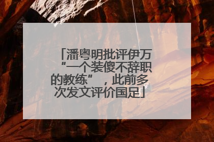 潘粤明批评伊万“一个装傻不辞职的教练”，此前多次发文评价国足