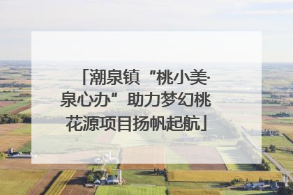 潮泉镇“桃小美·泉心办”助力梦幻桃花源项目扬帆起航