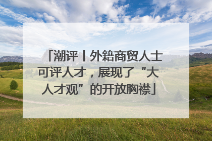 潮评丨外籍商贸人士可评人才，展现了“大人才观”的开放胸襟