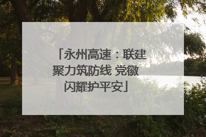 永州高速：联建聚力筑防线 党徽闪耀护平安