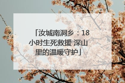 汝城南洞乡：18小时生死救援 深山里的温暖守护