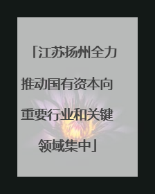 江苏扬州全力推动国有资本向重要行业和关键领域集中