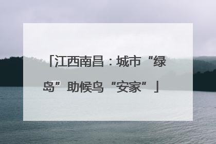 江西南昌：城市“绿岛”助候鸟“安家”