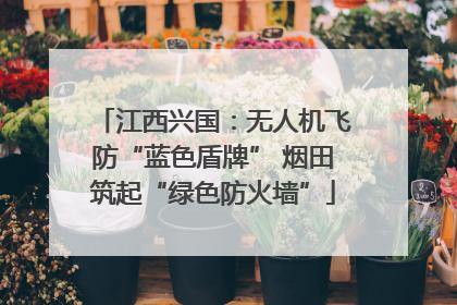 江西兴国：无人机飞防“蓝色盾牌” 烟田筑起“绿色防火墙”