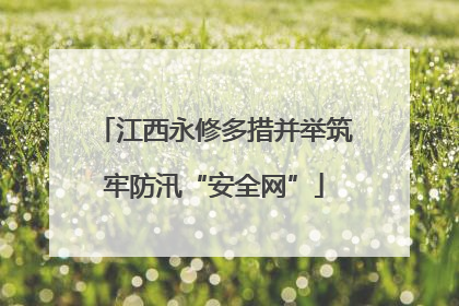 江西永修多措并举筑牢防汛“安全网”