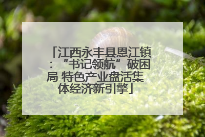 江西永丰县恩江镇：“书记领航”破困局 特色产业盘活集体经济新引擎