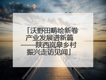 沃野田畴绘新卷 产业发展谱新篇——陕西岚皋乡村振兴走访见闻