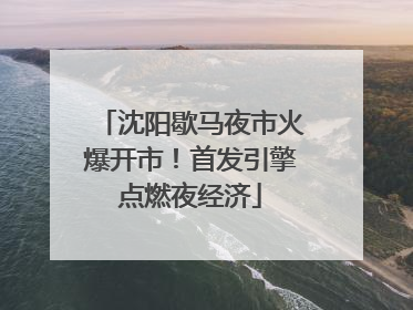 沈阳歇马夜市火爆开市！首发引擎点燃夜经济