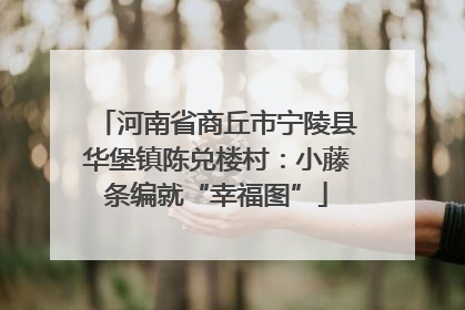 河南省商丘市宁陵县华堡镇陈兑楼村：小藤条编就“幸福图”