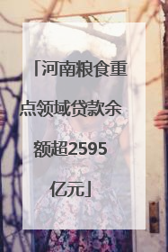 河南粮食重点领域贷款余额超2595亿元