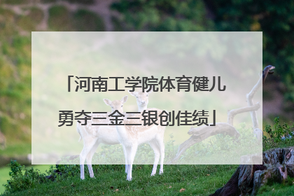 河南工学院体育健儿勇夺三金三银创佳绩