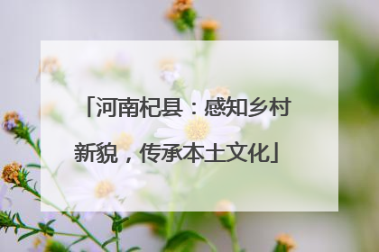 河南杞县：感知乡村新貌，传承本土文化
