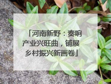 河南新野：奏响产业兴旺曲，铺展乡村振兴新画卷
