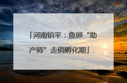 河南镇平：鱼卵“助产师”走俏孵化期