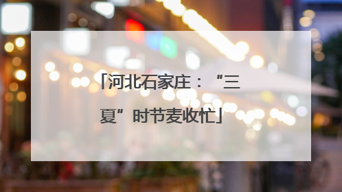河北石家庄：“三夏”时节麦收忙