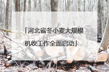 河北省冬小麦大规模机收工作全面启动