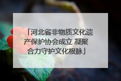 河北省非物质文化遗产保护协会成立 凝聚合力守护文化根脉