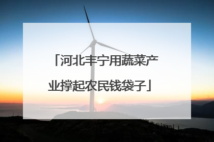 河北丰宁用蔬菜产业撑起农民钱袋子