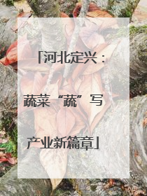 河北定兴：蔬菜“蔬”写产业新篇章