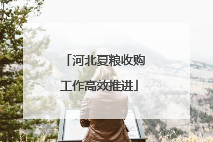 河北夏粮收购工作高效推进