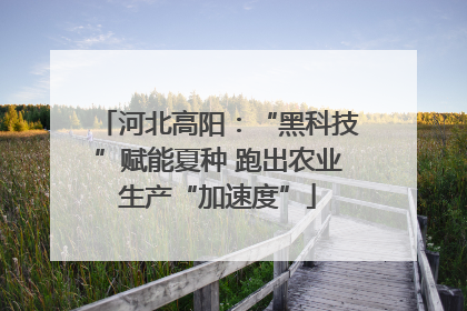 河北高阳：“黑科技”赋能夏种 跑出农业生产“加速度”