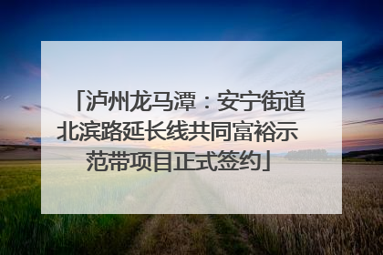 泸州龙马潭：安宁街道北滨路延长线共同富裕示范带项目正式签约