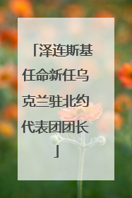 泽连斯基任命新任乌克兰驻北约代表团团长