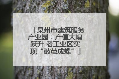 泉州市建筑服务产业园：产值大幅跃升 老工业区实现“破茧成蝶”