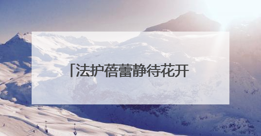 法护蓓蕾静待花开 司法育苗情暖童心