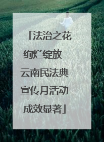 法治之花绚烂绽放 云南民法典宣传月活动成效显著