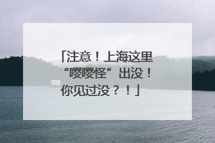 注意！上海这里“嘤嘤怪”出没！你见过没？！