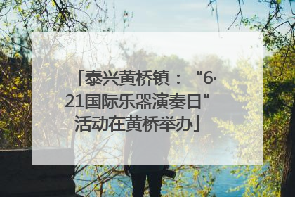 泰兴黄桥镇：“6·21国际乐器演奏日”活动在黄桥举办