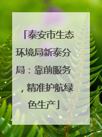 泰安市生态环境局新泰分局：靠前服务，精准护航绿色生产