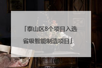 泰山区8个项目入选省级智能制造项目