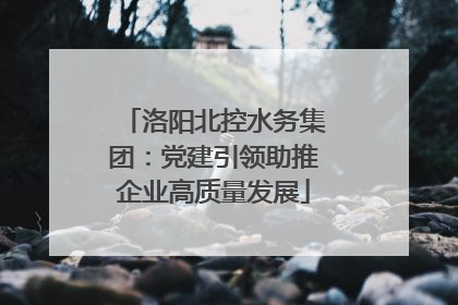 洛阳北控水务集团：党建引领助推企业高质量发展