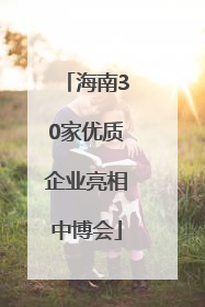 海南30家优质企业亮相中博会