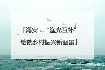 海安：“渔光互补” 绘就乡村振兴新图景