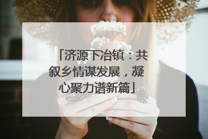 济源下冶镇：共叙乡情谋发展，凝心聚力谱新篇