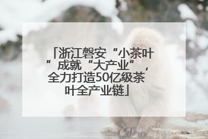 浙江磐安“小茶叶”成就“大产业”，全力打造50亿级茶叶全产业链