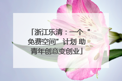 浙江乐清：一个“免费空间”计划 助青年创意变创业