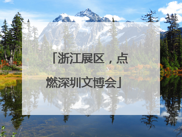 浙江展区，点燃深圳文博会