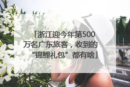 浙江迎今年第500万名广东旅客，收到的“锦鲤礼包”都有啥