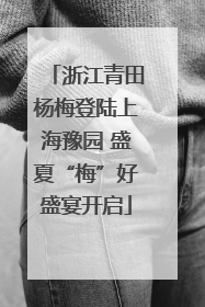 浙江青田杨梅登陆上海豫园 盛夏“梅”好盛宴开启