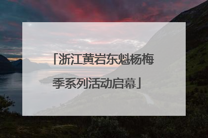浙江黄岩东魁杨梅季系列活动启幕