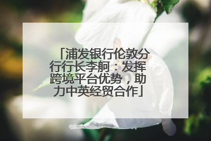浦发银行伦敦分行行长李舸：发挥跨境平台优势，助力中英经贸合作