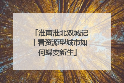 淮南淮北双城记丨看资源型城市如何蝶变新生