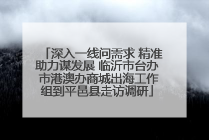深入一线问需求 精准助力谋发展 临沂市台办 市港澳办商城出海工作组到平邑县走访调研