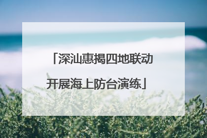深汕惠揭四地联动开展海上防台演练
