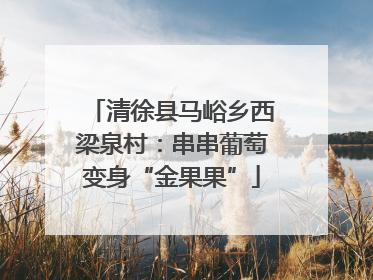 清徐县马峪乡西梁泉村：串串葡萄变身“金果果”