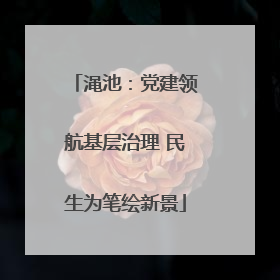 渑池：党建领航基层治理 民生为笔绘新景